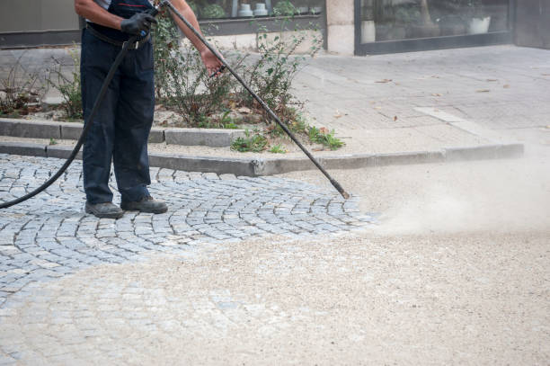 Best Winterizing Services  in Del Mar, CA