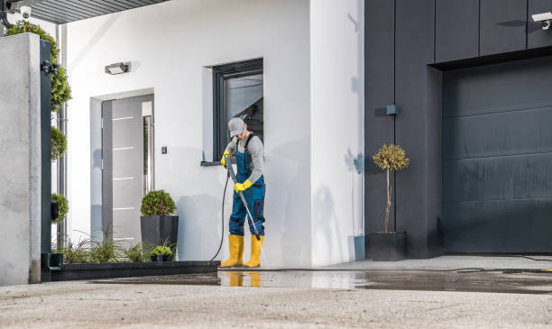 Best Soft Washing  in Del Mar, CA